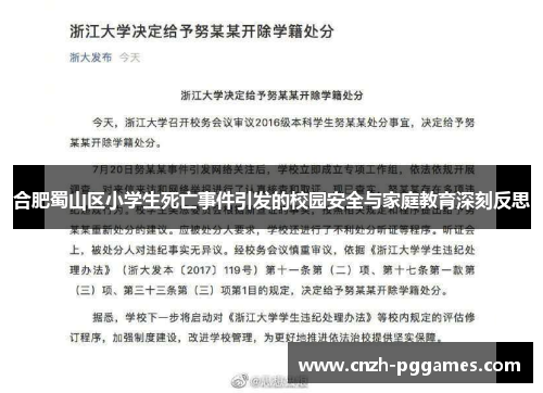 合肥蜀山区小学生死亡事件引发的校园安全与家庭教育深刻反思