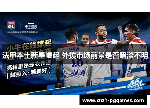 法甲本土新星崛起 外援市场前景是否暗淡不明